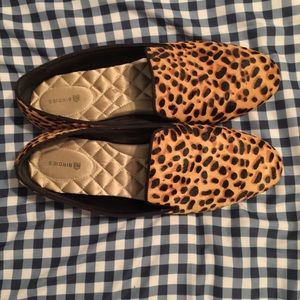 Birdies Cheetah Starling